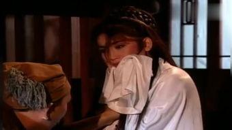 新金瓶完在线观看